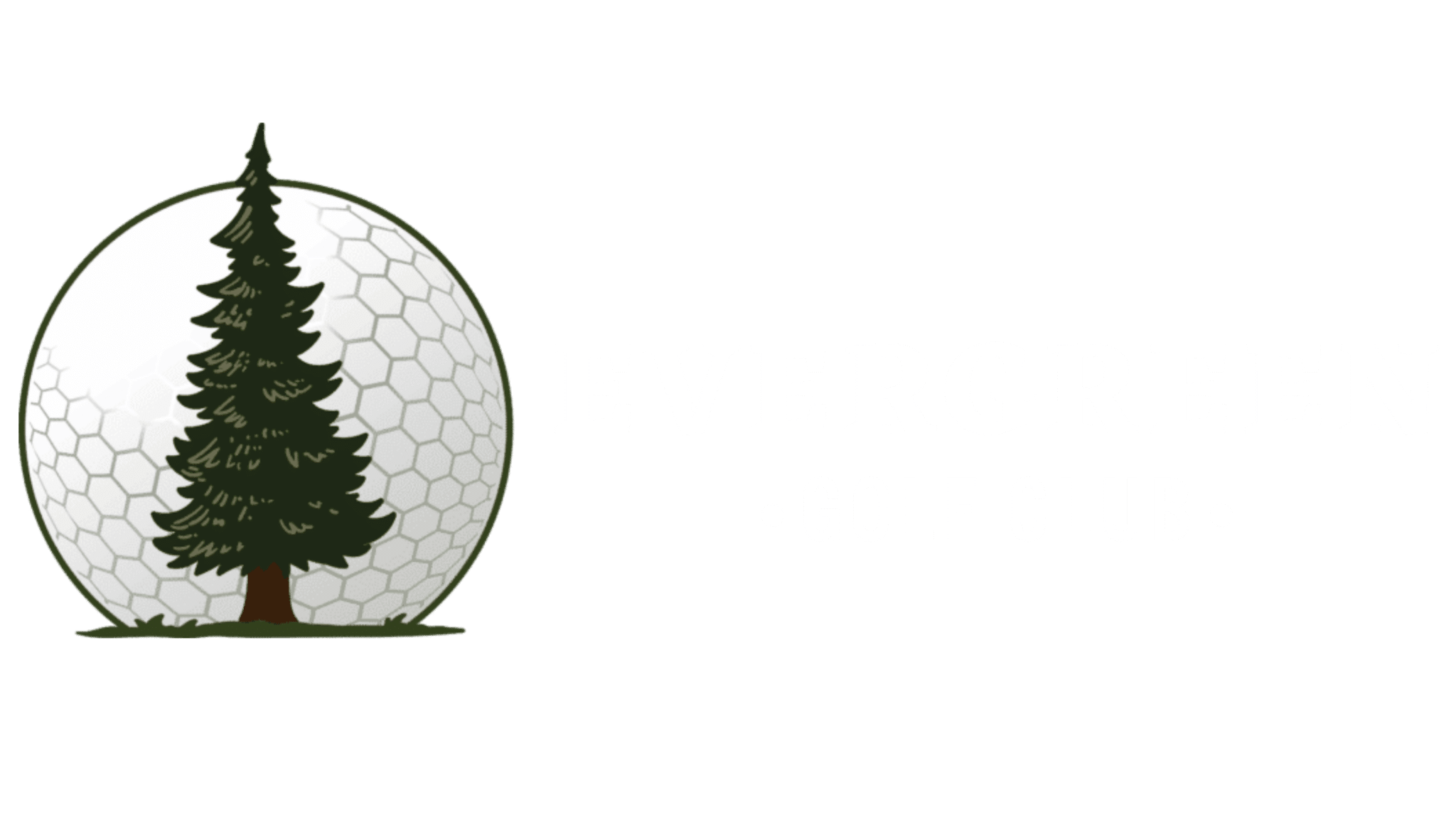 Washington s premier indoor golf club evergreen golf club