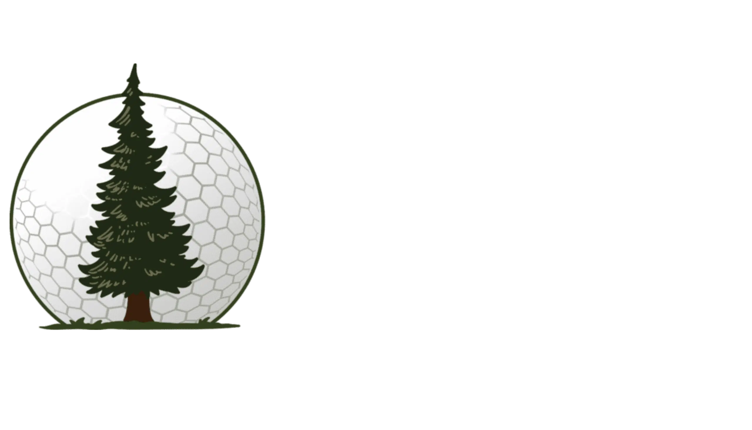 Indoor Golf Tacoma - Photo 1