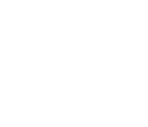 Slice Dice